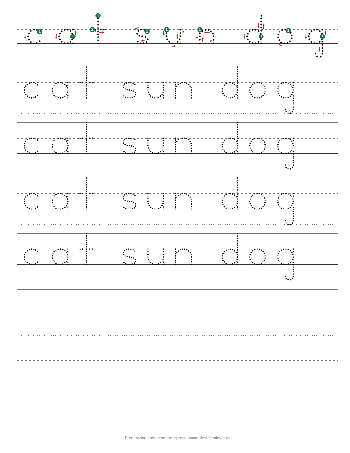 Tracing worksheet for the words cat sun dog: the words large with numbered start dots and stroke arrows, rows of dotted letters to trace on handwriting lines, then blank lines